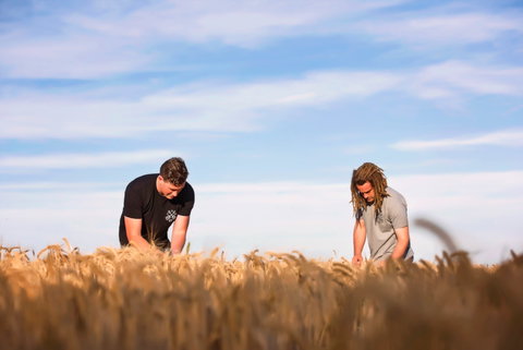 Corowa Distilling Co - Holiday Sunshine Coast 1