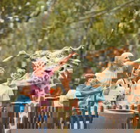 Dubbo - Holiday Sunshine Coast