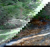Finch Hatton - Sunshine Coast Tourism