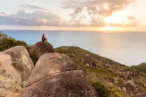 Fitzroy Island National Park - Sunshine Coast Tourism 1