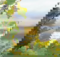 Flavours of the Porongurup Range Trail - Sunshine Coast Tourism