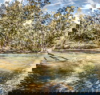 Flea Creek Picnic Area - Sunshine Coast Tourism