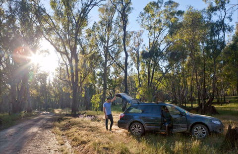 Forest Drive, Murrumbidgee Valley National Park - Sunshine Coast Tourism 0