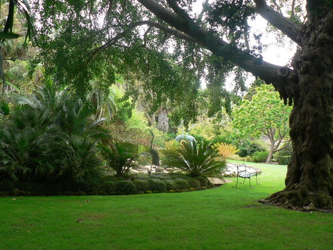 Friends Of Geelong Botanic Gardens - Holiday Sunshine Coast 1