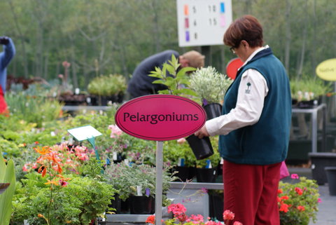 Friends Of Geelong Botanic Gardens - Holiday Sunshine Coast 2