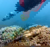 Geoffrey Bay Snorkel Trail - Sunshine Coast Tourism