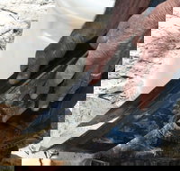 Goldfields at Ironbarks - Sunshine Coast Tourism