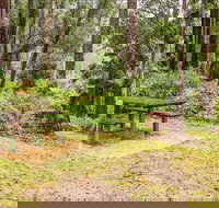 Goodenia Rainforest picnic area - Holiday Sunshine Coast