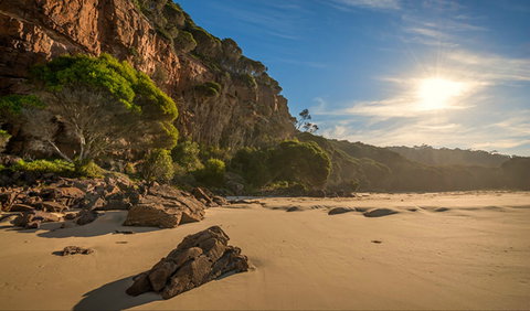 Greenglade Picnic Area - Holiday Sunshine Coast 0