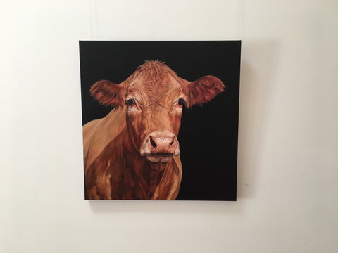 Ivy Hill Gallery - Sunshine Coast Tourism 2