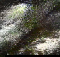 Jack And Hilda McArthur Walk - Sunshine Coast Tourism