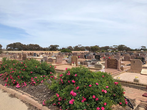 Kadina Cemetery - Holiday Sunshine Coast 2