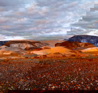 Kanku-Breakaways Conservation Park - Sunshine Coast Tourism