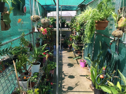 Kilcoy Craft Market - Holiday Sunshine Coast 1