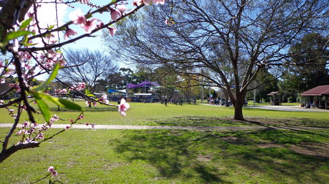 Koshigaya Park - Holiday Sunshine Coast 0