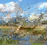 Lagoon Creek - Sunshine Coast Tourism