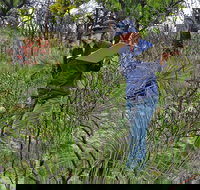 Lake Monjingup - Holiday Sunshine Coast