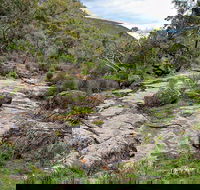 Lynchs Loop Trail - Holiday Sunshine Coast