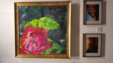 Macleay Valley Community Art Gallery - Sunshine Coast Tourism 0
