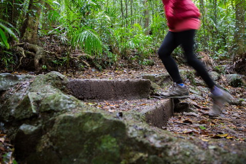 Maiala - Holiday Sunshine Coast 0