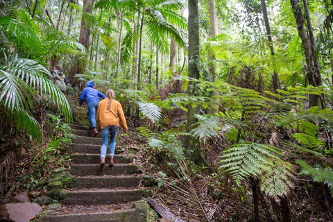 Maiala - Holiday Sunshine Coast 1