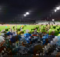 Manuka Oval - Sunshine Coast Tourism