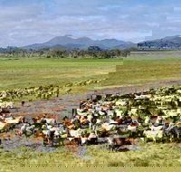 Marlborough - Sunshine Coast Tourism