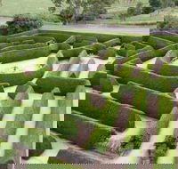 Mintaro Maze - Holiday Sunshine Coast