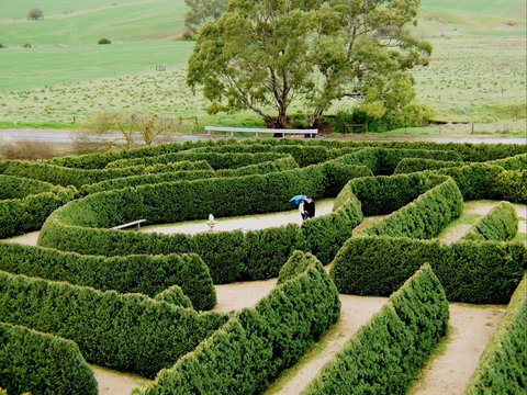 Mintaro Maze - Sunshine Coast Tourism 1