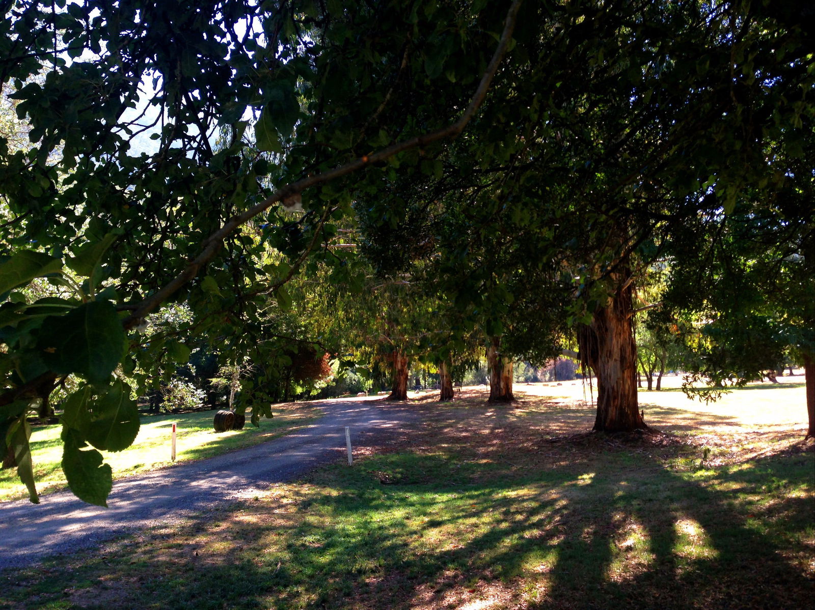 Mirimbah VIC Holiday Sunshine Coast