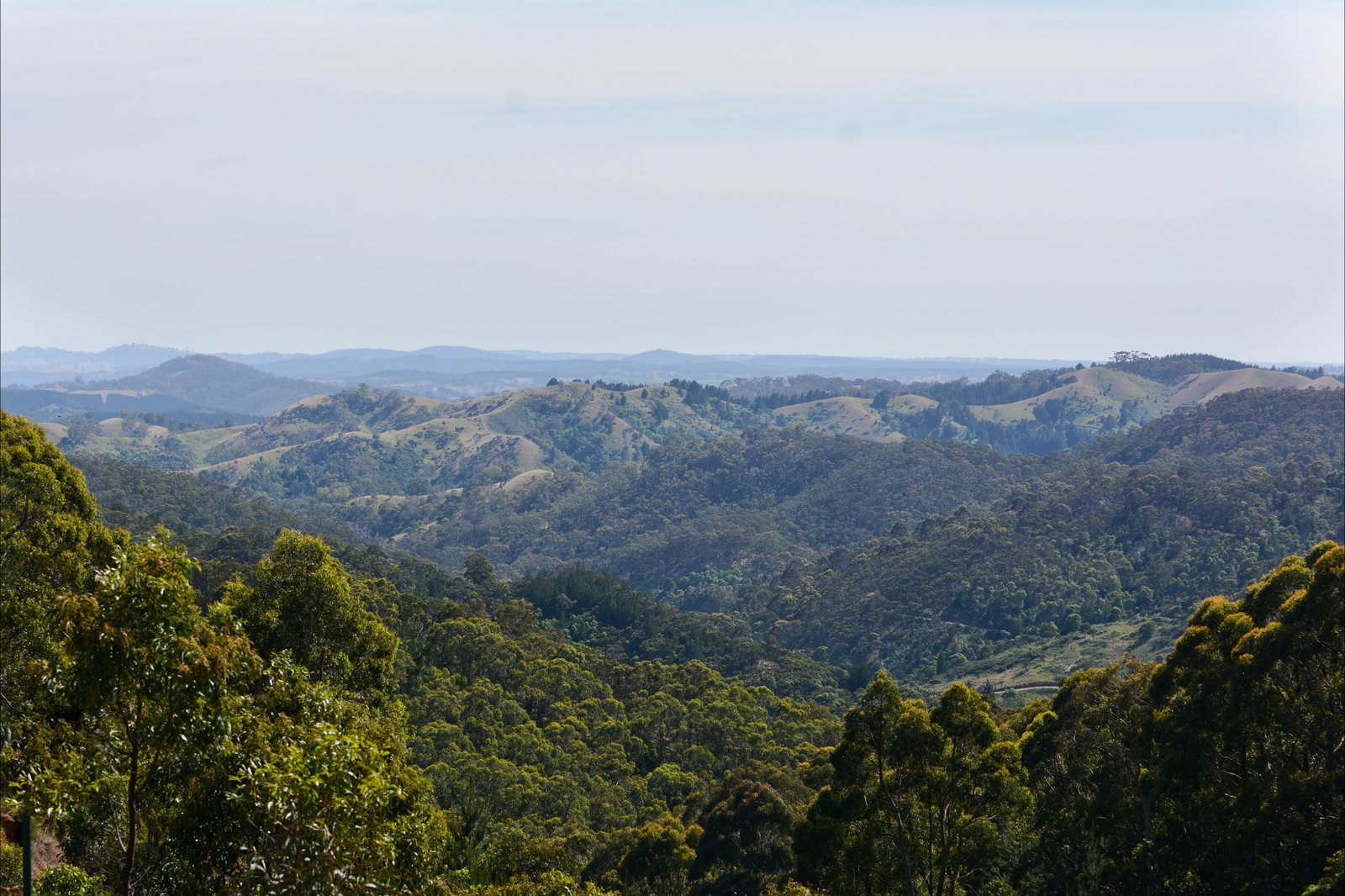 Mount Crawford SA Sunshine Coast Tourism