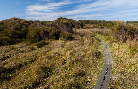 Murramarang Aboriginal Area Walking Track - Holiday Sunshine Coast 0