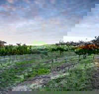 Nature and Foodies Trail - Holiday Sunshine Coast