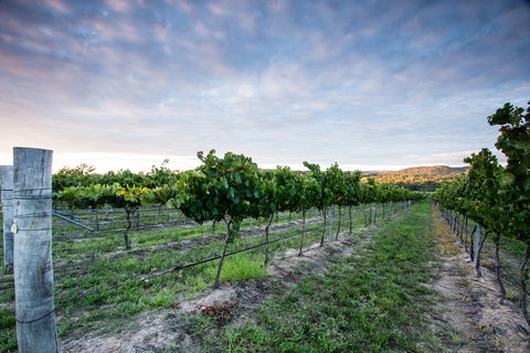 Nature And Foodies Trail - Holiday Sunshine Coast 0