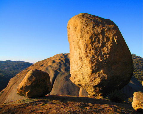 Nature And Foodies Trail - Holiday Sunshine Coast 1