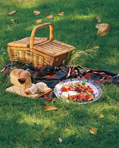 Nature And Foodies Trail - Holiday Sunshine Coast 2