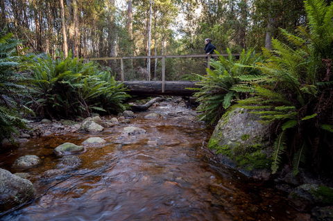 O'Neills Creek Picnic Reserve - Sunshine Coast Tourism 0