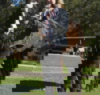 Otford Farm Horse Riding - Sunshine Coast Tourism