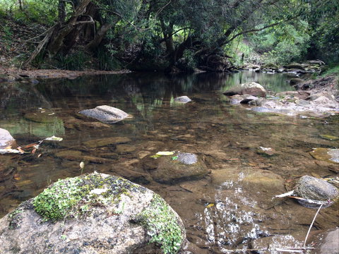Otford Farm Horse Riding - Holiday Sunshine Coast 2