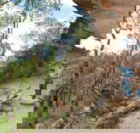 Pilliga National Park - Sunshine Coast Tourism
