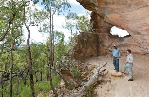 Pilliga National Park - Sunshine Coast Tourism 0