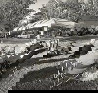 Pioneer Park - Holiday Sunshine Coast