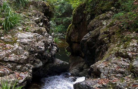 Potoroo Falls Walk - Sunshine Coast Tourism 0