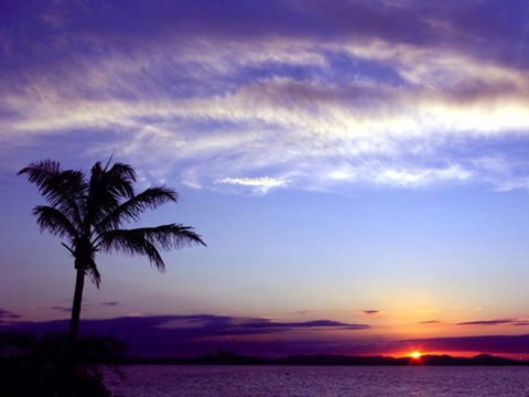 Quoin Island Retreat And Turtle Rehabilitation Centre - Sunshine Coast Tourism 0