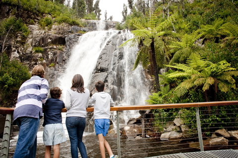 Steavenson Falls - Holiday Sunshine Coast 0