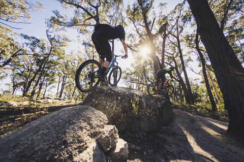 St Helens Mountain Bike Trails - Sunshine Coast Tourism 1