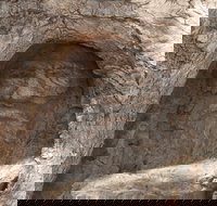 The Face Tree near Burke and Wills Dig Tree - Sunshine Coast Tourism