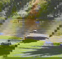 The Lions Junction Park - Tumut - Sunshine Coast Tourism