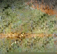 Time Walk Windjana Gorge National Park - Holiday Sunshine Coast