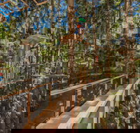 TreeTops Sydney The Hills - Sunshine Coast Tourism